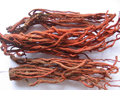 藥材種植，對(duì)于“新手”需注意哪些問題？